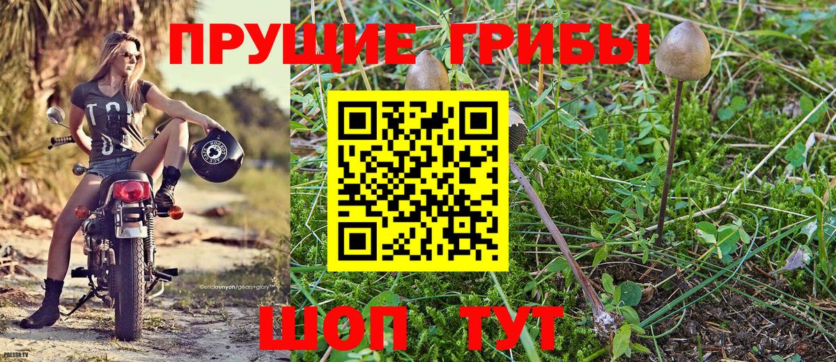 Псилоцибиновые грибы мухоморы  Вход с VPN  Нефтекамск 